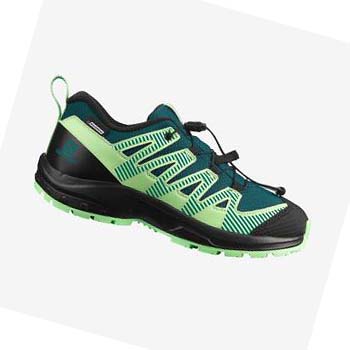 Salomon XA PRO V8 CLIMASALOMON™ WATERPROOF Çocuk Yürüyüş Ayakkabısı Yeşil | TR 2037NWY